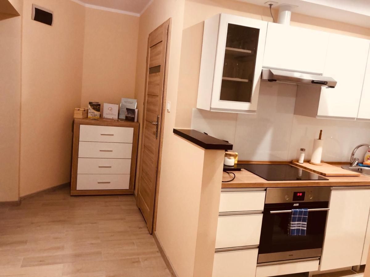 Apartamenty Alicja Dzierżoniów Eksteriør billede